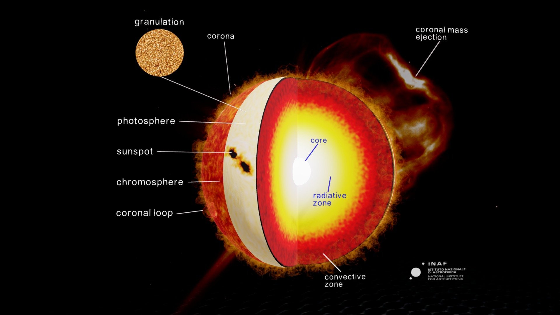 From the interior to the outer atmosphere: core, where nuclear reaction occurs, the engine of the star; radiative zone, where energy is primarily transported toward the exterior by means of radiative diffusion; convective zone, where energy is primarily transported by convection; photosphere, the shell from which light is radiated; chromosphere, a layer above the photosphere, from where a forest of hairy-appearing spicules rise; corona, atop the chromosphere through a thin transition region, the outermost part of the star's atmosphere, where the plasma is very tenuos and hot. The phostosphere surface is characterized by granules, due to convection of plasma within the convective zone, and sunspots, temporary regions of reduced temperature. The corona is a very dynamic and inhomogeneous environement made of loops and that hosts very energetic and transient phenomena as flares and coronal mass ejections.

Credit: INAF-OAPA. Granules: D.K. Inouye Solar Telescope. Music provided by https://filmstro.com/ 3d model