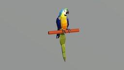 Low Poly Macaw macaw, like4like, follow4follow, low-poly