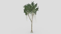 Agarwood Tree- 02 plant, unreal, lowpolytree, unity, lowpoly, agarwood, agarwoodtree, 3dagarwood