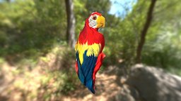 PARROT BIRD bird, recap360, photogrammetry, blender, scan, animal