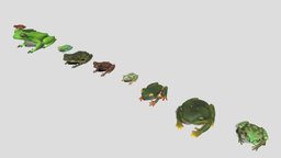 10 kinds of tree frog [2] frog, treefrog, low-poly