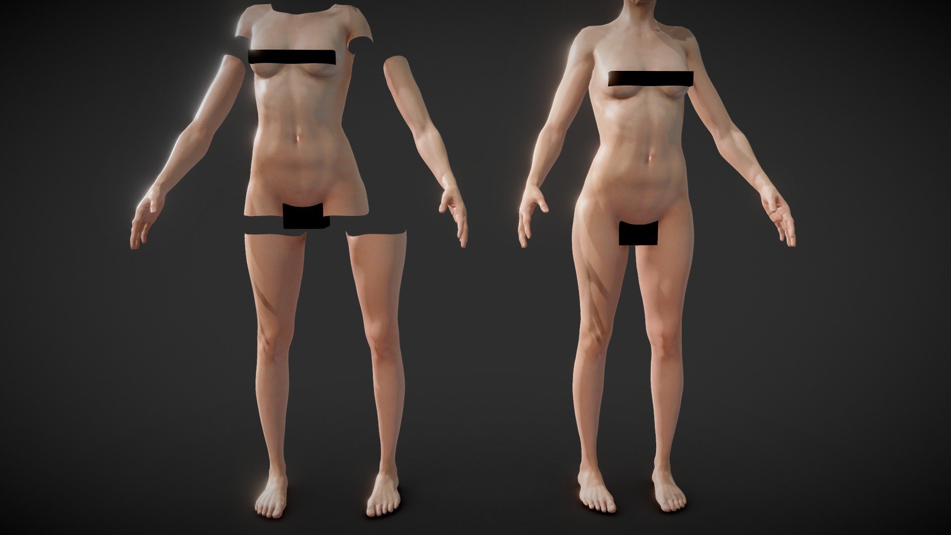 Male Pack - https://skfb.ly/oAoRL

A Full Fit Female Anatomy body parts set with Basic Textures.
Perfect for simulating tattoos and use in Procreate 3D

For Procreate Make sure to download the Additional file and use the USDZ files if you want to automatically load the model with color texture, otherwise use the OBJ - Fit Female Anatomy - Body parts base mesh - Buy Royalty Free 3D model by Deftroy 3d model