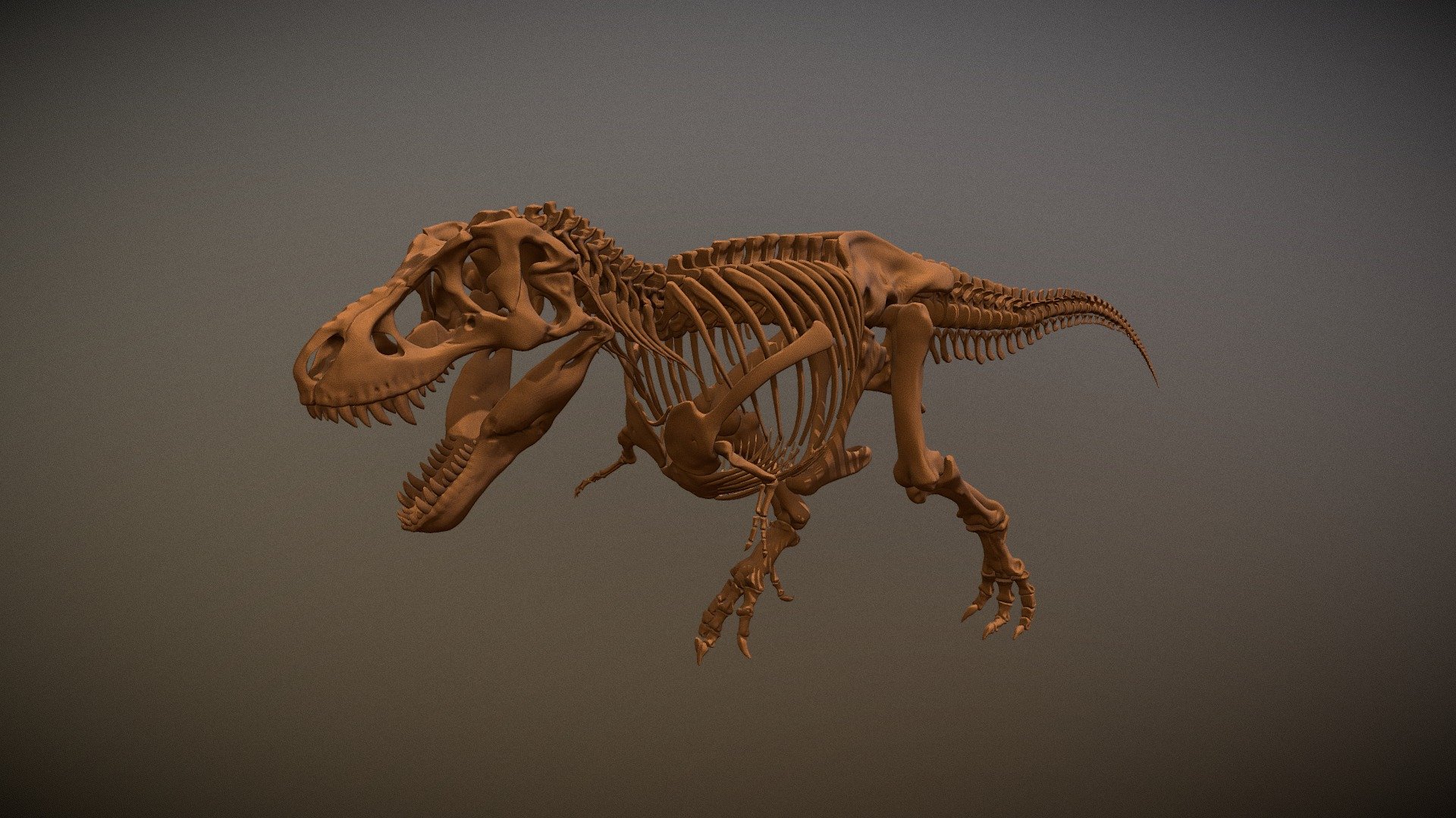 &ldquo;Tyrannosaurus rex Stan skeleton
