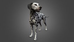 Dalmatian dog, pet, dalmatian, 3d-coat, blender, zbrush