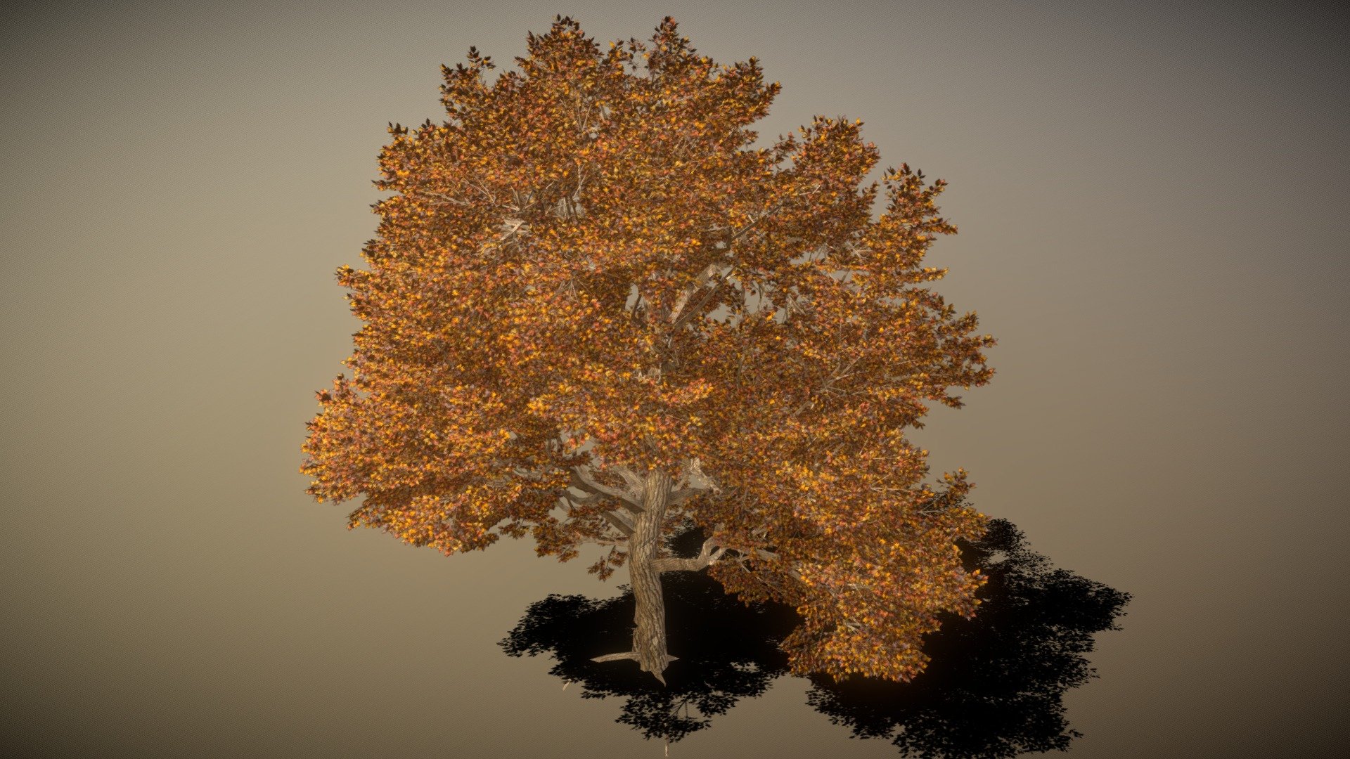 green ash tree
290.00poly
291.2k textures
FBX - Green Ash Tree - 3D model by Sculpting Tools (@InterFox) 3d model