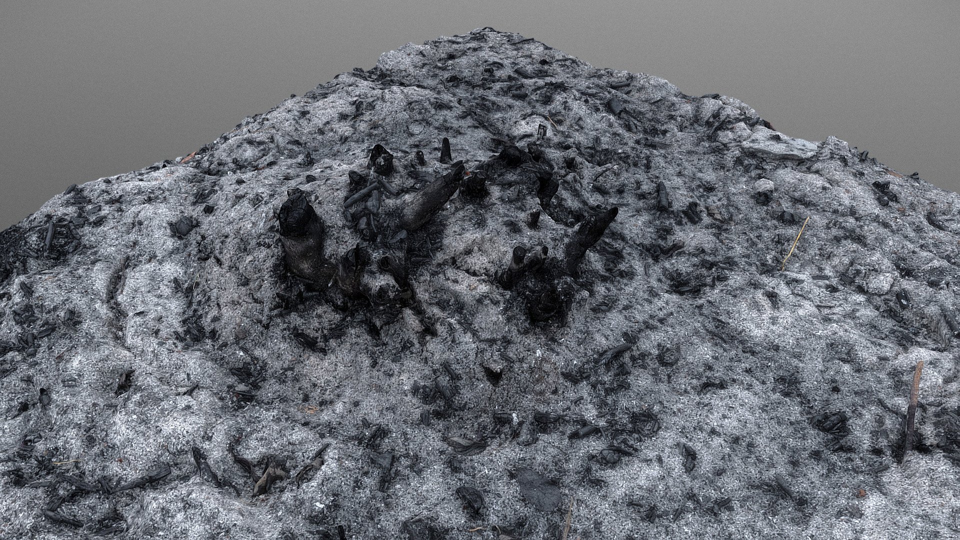 Gray white ash ashes pile heap stack from burnt tree wood fire campfire lumber, burning down forest

photogrammetry scan (150x24mp), 2x16k textures + hd normals  (as additional .zip download) - Burnt tree ash - Buy Royalty Free 3D model by matousekfoto 3d model