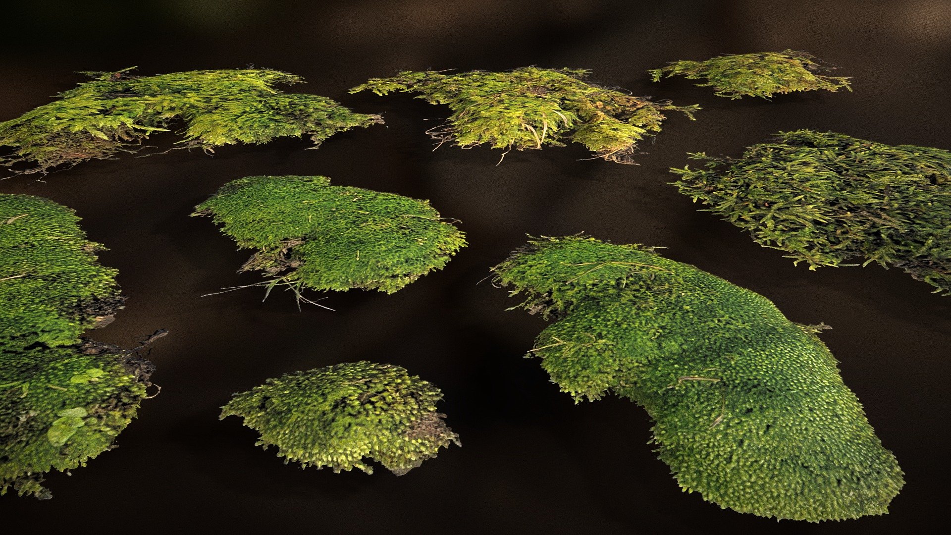 Atlas and Model can alternately be purchased via artstation:
https://arcticgreenhouse.artstation.com/store/GbX0M/moss-clumps-4k-pbr-atlas-and-models - Moss Clumps - Buy Royalty Free 3D model by ArcticGreenhouse 3d model