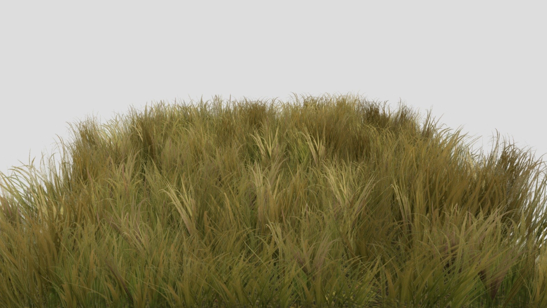 Grass - 3D model by bahaa2 3d model