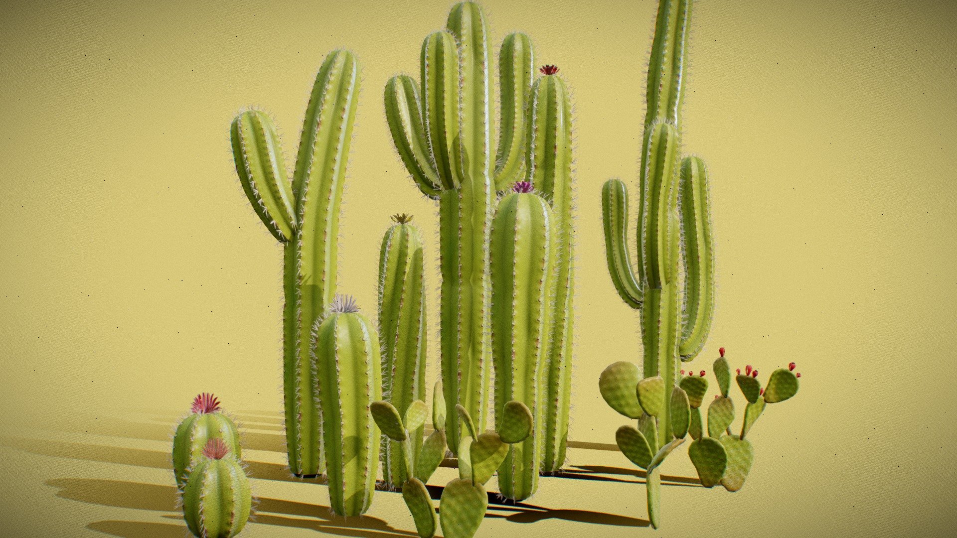2k textures (Albedo, Roughness, Normal, Opacity, Ambient Occlusion)

Tri-count: approximately from 1000 to 4000 tris.
 - Stylized Cacti / Cactus Pack - Buy Royalty Free 3D model by Serhii3D 3d model