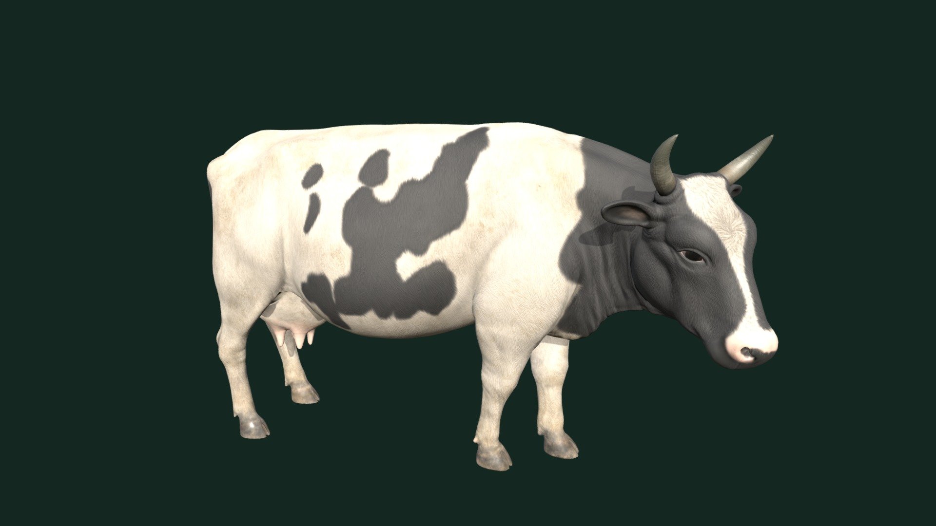 Simple idle for this cow
&ldquo;Cow