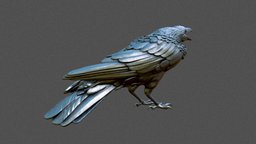 CROW bird, crow, corvus, zbrush-sculpt, rawen