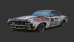 Misfortunate Muscle Car (Raw Scan) raw, abandoned, white, muscle, wreck, rusty, sports, coupe, photoscan, photogrammetry, vehicle, 3dscan, car