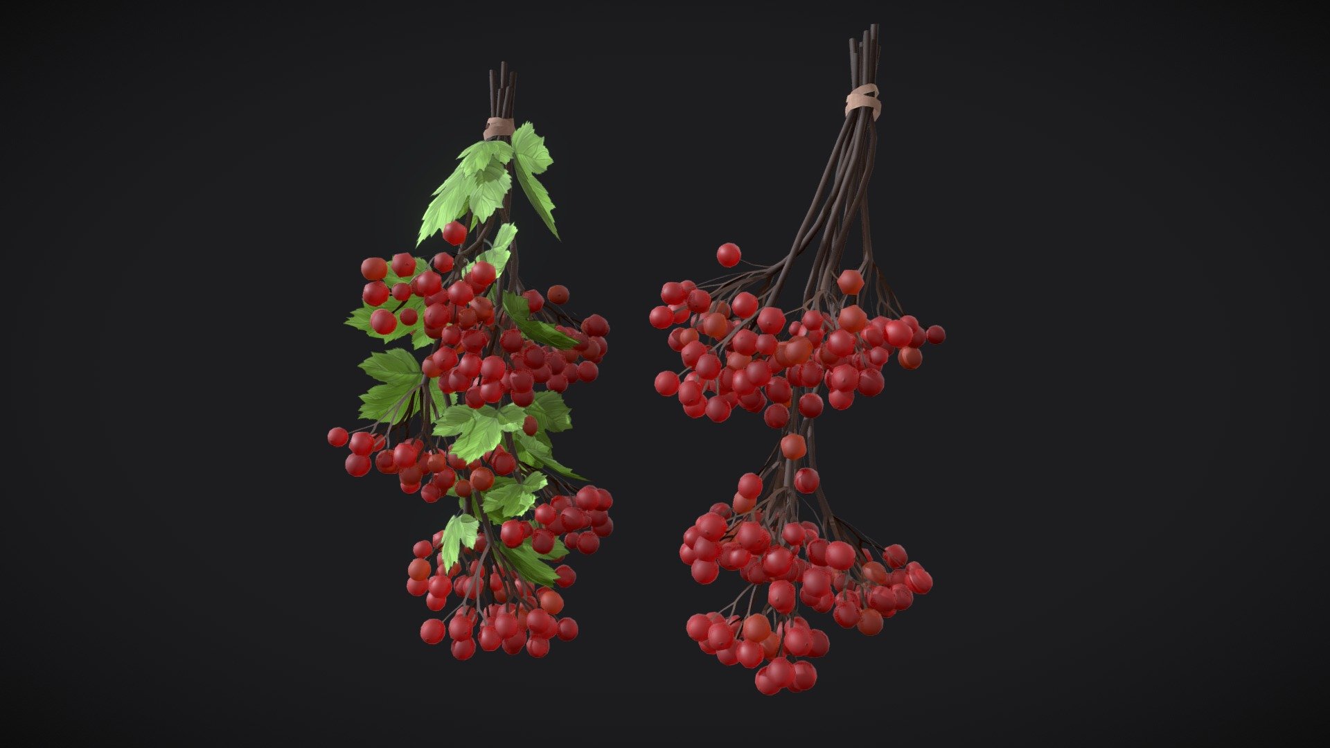 Guelder rose (ukr. Калина) model. Overlapping UVs (texture atlas)

The archive contains following files:




.MA file (original MAYA file, version 2023)

FBX file

OBJ

Texture sets:

1) Guelder rose (2048 * 2048):




BaseColor

Roughness*

Normal*

SSS*

2) Leaves (1024 * 1024):




BaseColor

Opacity

Roughness*

*You can as well use just BaseColor and Opacity textures to lighten up a project. 

If you have any additional questions or any problems related to the model, kindly contact me: katy.b2802@gmail.com - Guelder rose, red berries - Buy Royalty Free 3D model by Enkarra 3d model