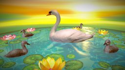 Mute Swan & Babies + Waterlily