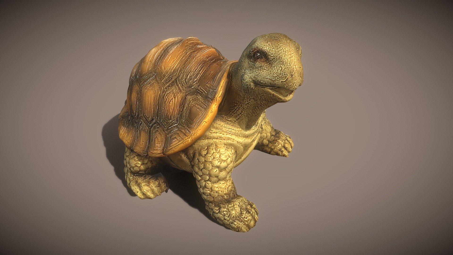 A little brownish green turtle 3d model