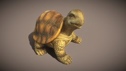 Little Turtle turtle, tortoise, shell, brown, reptile