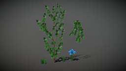 Set of stylized lowpoly ivy grass and flower