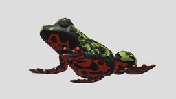 Oriental fire-bellied toad (Bombina family) frog, low-poly, bombina