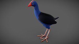 Pukeko Swamp hen bird, newzealand, stylised, pukeko, noai