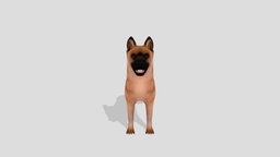 German Shepherd dog, animals, mammal, dogs, germanshepherd, puppy-dog, animal