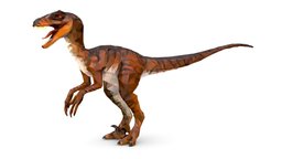 Dinosaur Raptor Red Lowpoly Art Style Animal beast, ancient, raptor, polygonal, teeth, mammal, predator, diplodocus, claws, rex, scary, spinosaurus, triceratops, lowpolygon, reptile, jurassic, beautiful, striped, tyrannosaurus, stegosaurus, dinosaurus, trexdinosaur, iguanodon, pterodactyl, lowpolyart, ankylosaurus, triangular, jurassicpark, jurassicworld, apatosaurus, parasaurolophus, jurassic-park, chopped, 3d, lowpoly, animal, monster, dinosaur, dino, "t-rex-dinosaur", "einonychus"