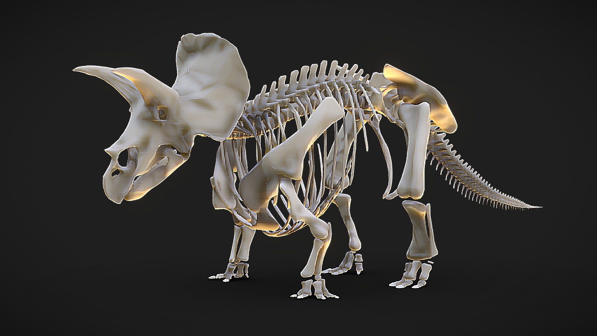 Christmas Sales: the model will cost $15.00 instead of $50.00 until 01/01/2024

Triceratops skeleton



Skeleton partially based on skeletal by Matt Dempsey.

If you liked the model, please, leave a positive review! - Triceratops Skeleton - Buy Royalty Free 3D model by Iofry 3d model