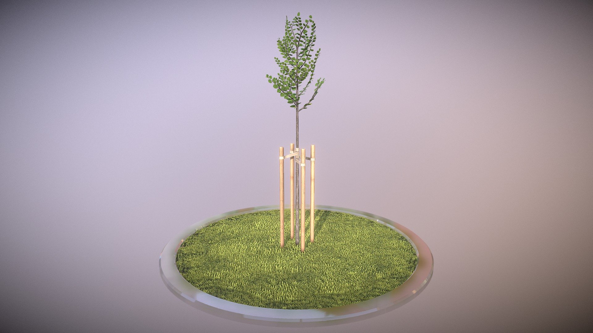 Here is a small tilia city tree.

2 meters high in summer season.

 - Tilia Tree 2 Meters in Summer Season - Buy Royalty Free 3D model by VIS-All-3D (@VIS-All) 3d model