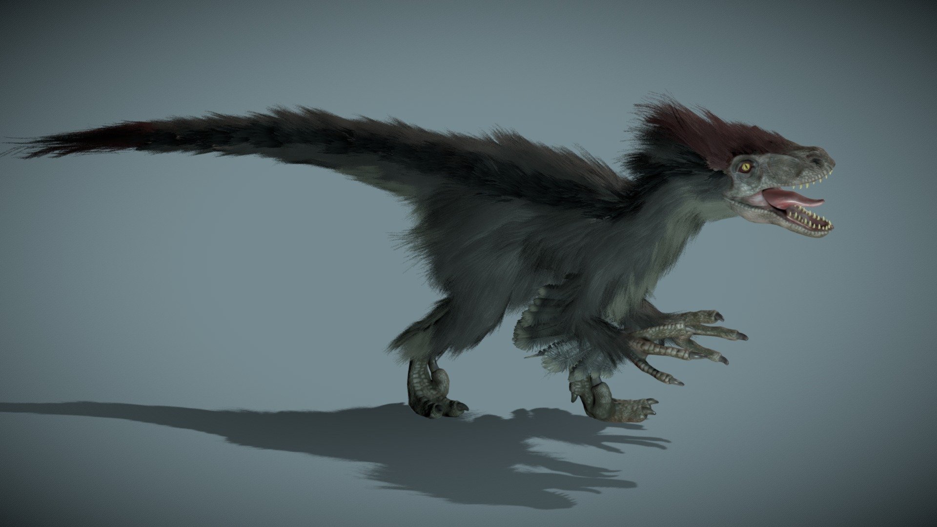 Raptor with feathers, created in Blender, Zbrush Core and Substance Painter
original blender file in the Zip folder uploaded!

You can find others renders of this model here:
https://www.artstation.com/artwork/8w9NVm

Textures 4096x4096:*
- body: albedo, roughness, Ambient occlusion, normal, scattering
- claws, eyes and teeth: albedo, roughness, Ambient occlusion, normal, scattering, opacity
- feathers: ambient occlusion, color node, roughness and opacity

In the NLA editor there are 3 option:
- walk cycle
- scream
- walk cycle with scream

*There is also the blue version changing the color nodes on the blender shader - Raptor - Buy Royalty Free 3D model by creatureFab (@3dCoast) 3d model