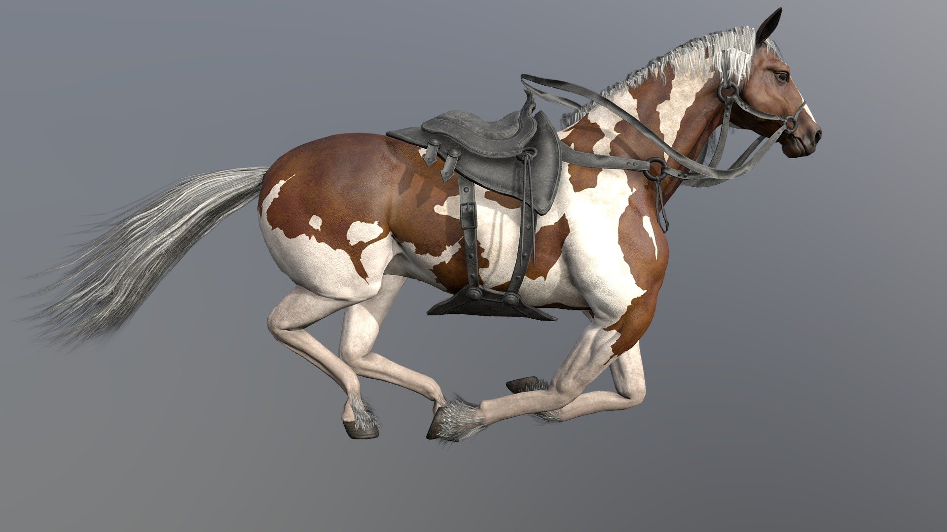 Horse Run cycle animated 3d model in fbx file format - Horse Run cycle - Buy Royalty Free 3D model by aaokiji 3d model