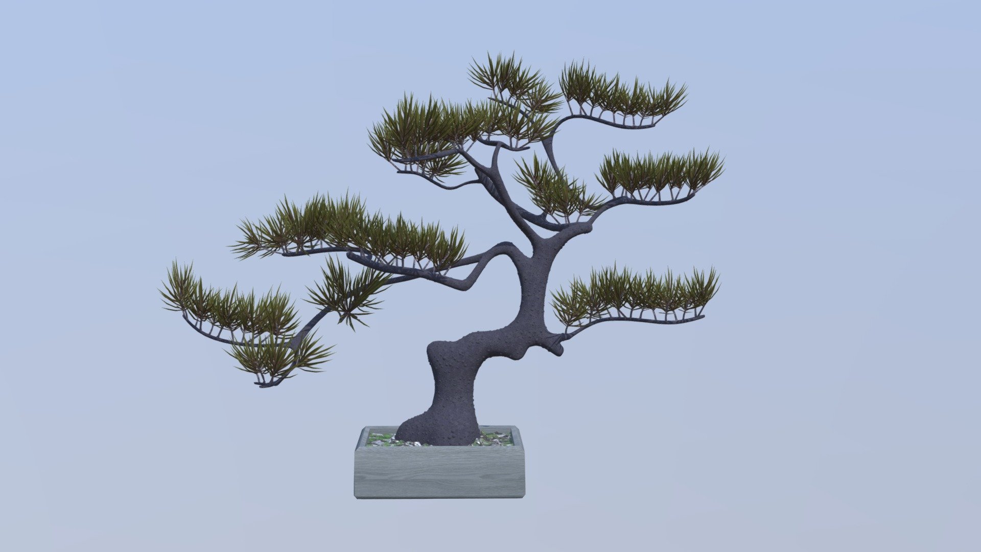 Bonsai tree created with 3ds max for detailed interior rendering
Ideal for japanese style interior or as a design element.

Created in 3ds Max, several formats available 3d model