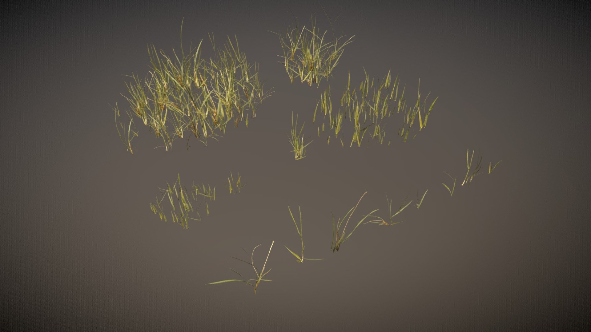 collection of nordic beach grass plants

A collection of 8 plants &amp; 6 plant patches 3d model