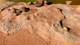 Dinosaur Nest with Egg and Caprolites nest, egg, desert, arizona, turds, realitycapture, dinosaur, caprolites