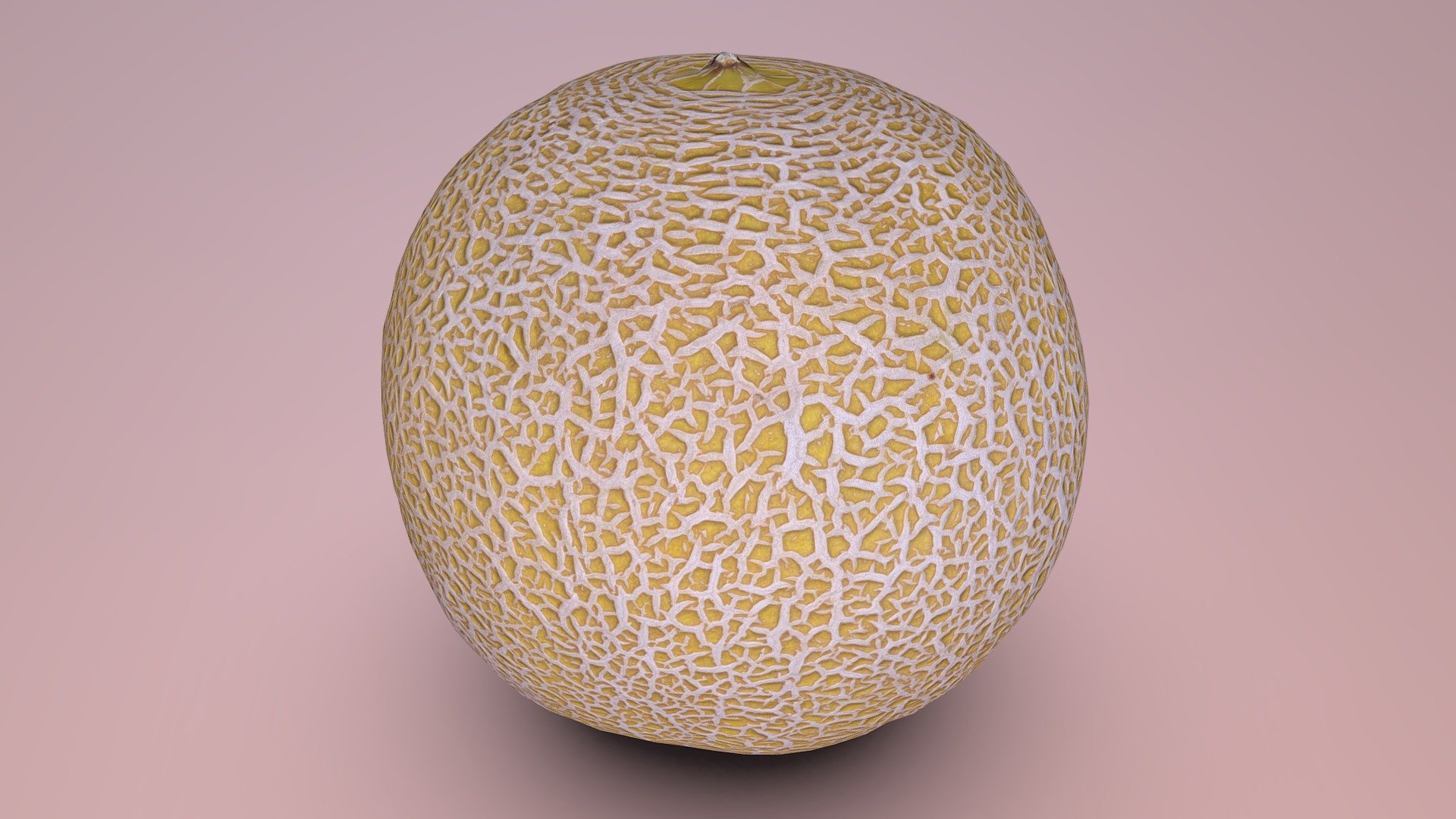 Simple cantaloupe




Photorealistic

Download contains 3 LODs (392, 1562 and 6242 vertices)

Quad based topology

Watertight mesh for easy 3D printing

Diffuse texture size: 4096x4096

Roughness map size: 4096x4096

Normal map sizes 1024x1024, 2048x2048, 4096x4096

Optimized normal map for each LOD (or use the “medium” one for all LODs to save space)

All other textures shared between LODs for your convenience
 - Cantaloupe - Buy Royalty Free 3D model by KuMa Digital Studios (@romay) 3d model