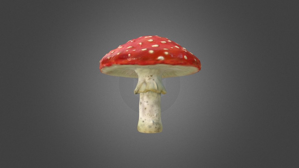 One simple mushroom 3d model