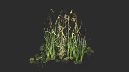 Modular Wetland Plants Set 01 green, plant, grass, lod, set, river, lake, reed, wet, pond, sugar, vegetation, water, cane, lily, common, game-ready, ue4, unrealengine, game-asset, wetland, cattail, unity, unity3d, low-poly, asset, game, pbr, lowpoly, environment, ue5