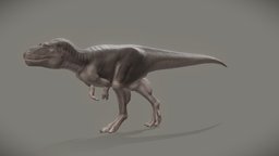 Daspletosaurus Torosus dinosaure, b3d, walking, cretaceous, theropod, tyrannosaurus, walk_cycle, tyrannosauridae, daspletosaurus, blender, blender3d, creature, animal, animation, animated, dinosaur, noai