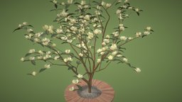 Magnolia Yellow tree, flowers, spring, detailed, realistic, yellow, valentines-day, magnolia, womens-day, leaves, flowering-tree, flower-festival