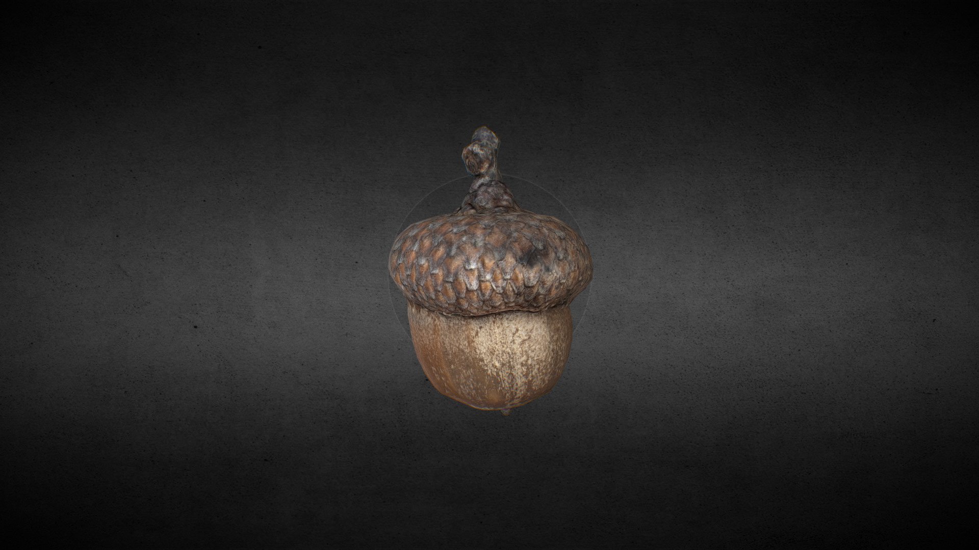An optimalized acorn (red oak) model done with 65 photos. Retopologized from 240k tris to 1400 - so quite nice :)
4k textures added - diffuse, height, normal and roughness map.

Hey :) My model did help you in your project? Consider buying me a coffee :)
https://ko-fi.com/zygomir - Acorn - photogrammetry - Download Free 3D model by Zygomir.Fabricati.Diem (@ZygomirFabricatiDiem) 3d model