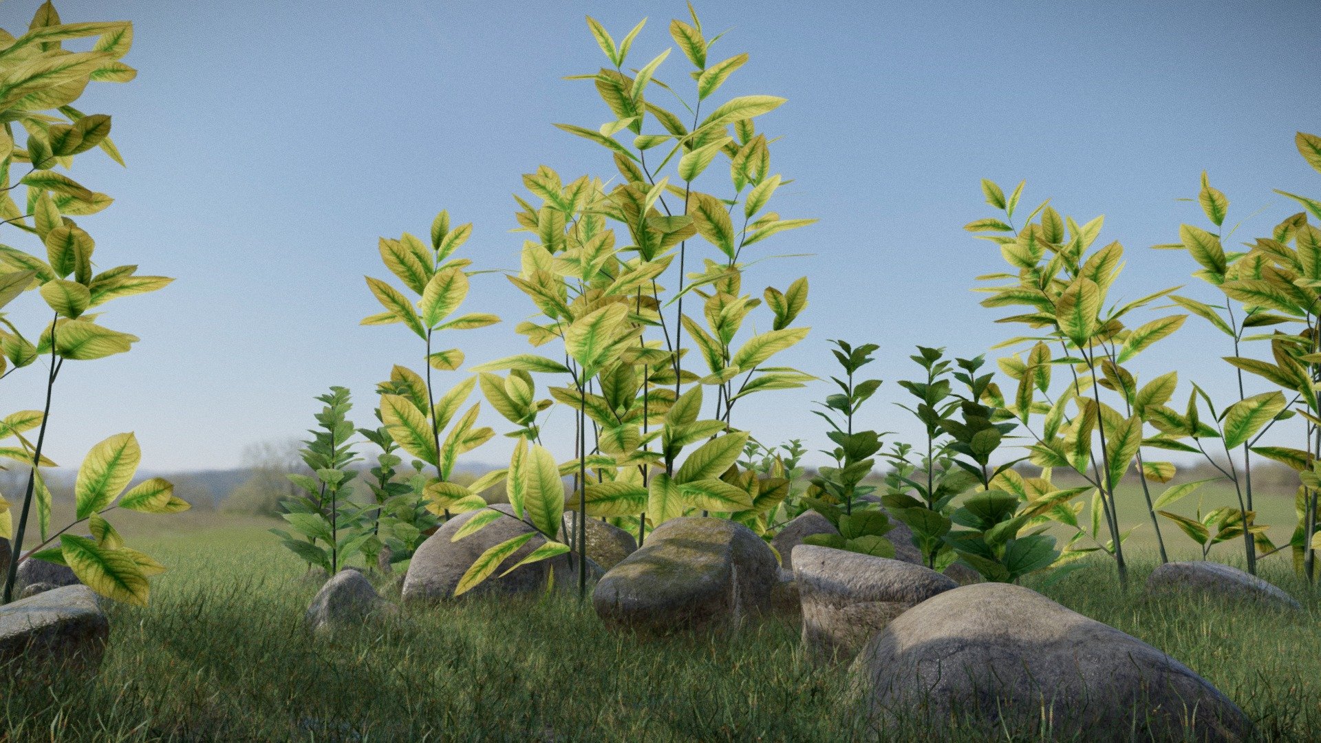 Plants Scene Free!
Thanks Sketchfab Team and My Followers.



Another Free Asset for achieving 300+ Followers. All the assets used in this scene are free.




Link For the Free Assets :-
https://sketchfab.com/3d-models/realistic-grass-pack-for-games-free-9b958d613e9a44dbba580748e7a1789c



https://sketchfab.com/3d-models/smooth-rocks-pack-4503b42e55fd4fd4b42f0f18abc43298



https://sketchfab.com/3d-models/ivy-high-poly-f10e66e2e77a4dda9a7147cd89f2082b



https://sketchfab.com/3d-models/more-realistic-trees-free-b5b506fc4f5d4af9b546283bdf0c6a15


Thank You!

Like and Follow for more free models in future! - Plants Scene Free! - Download Free 3D model by Nicholas-3D (@Nicholas01) 3d model