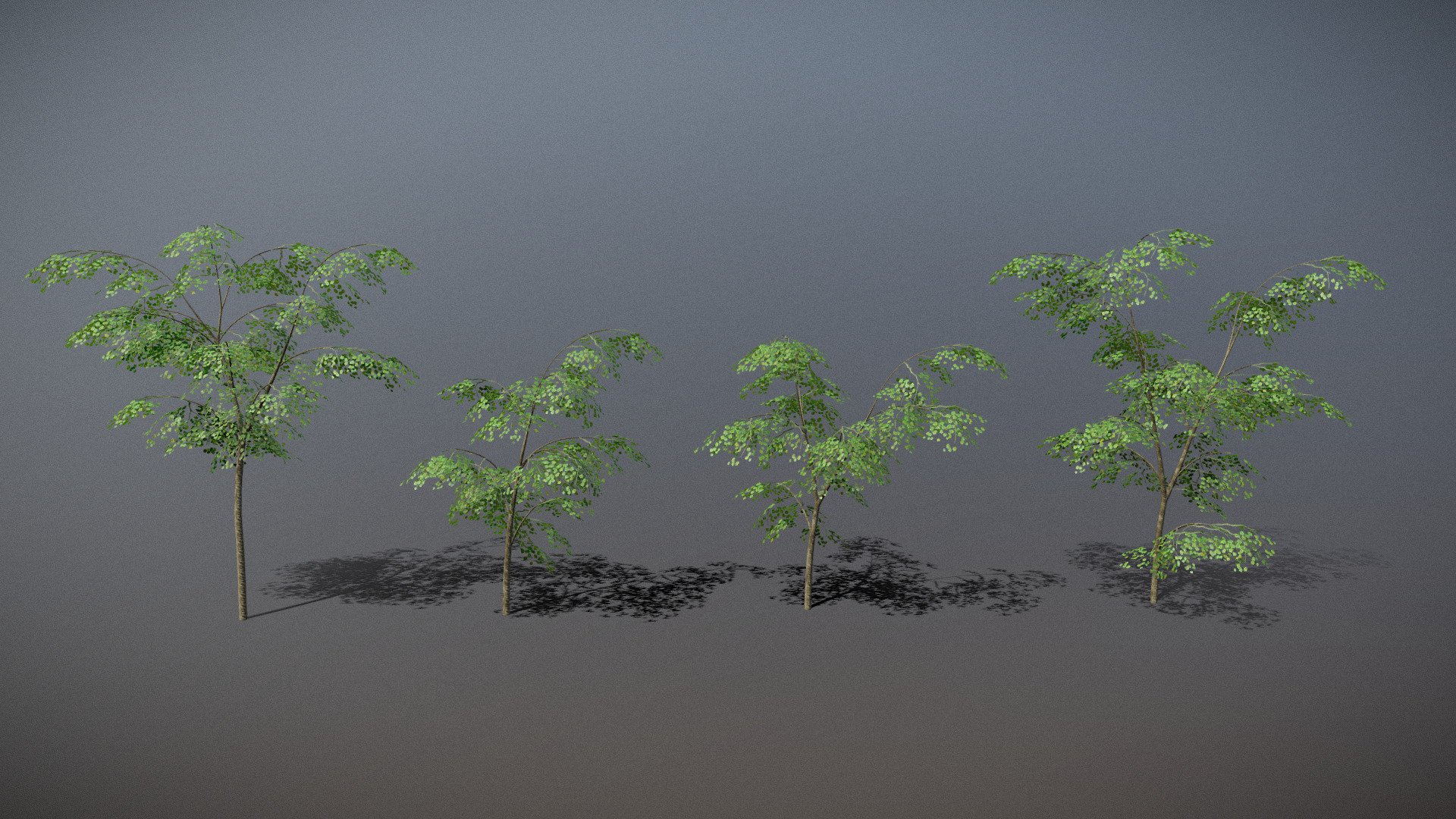 Four low poly maple tree variations. 

Texturing

Foliage - 4k textures with color, opacity, and normal maps

Bark - High quality texture containing color, normal, and roughness maps




The models range around 2.5k - 4k tris each, and are fully UV mapped.

The additional file contains each tree in a seperate FBX file (textures not embedded), and the .obj format 3d model