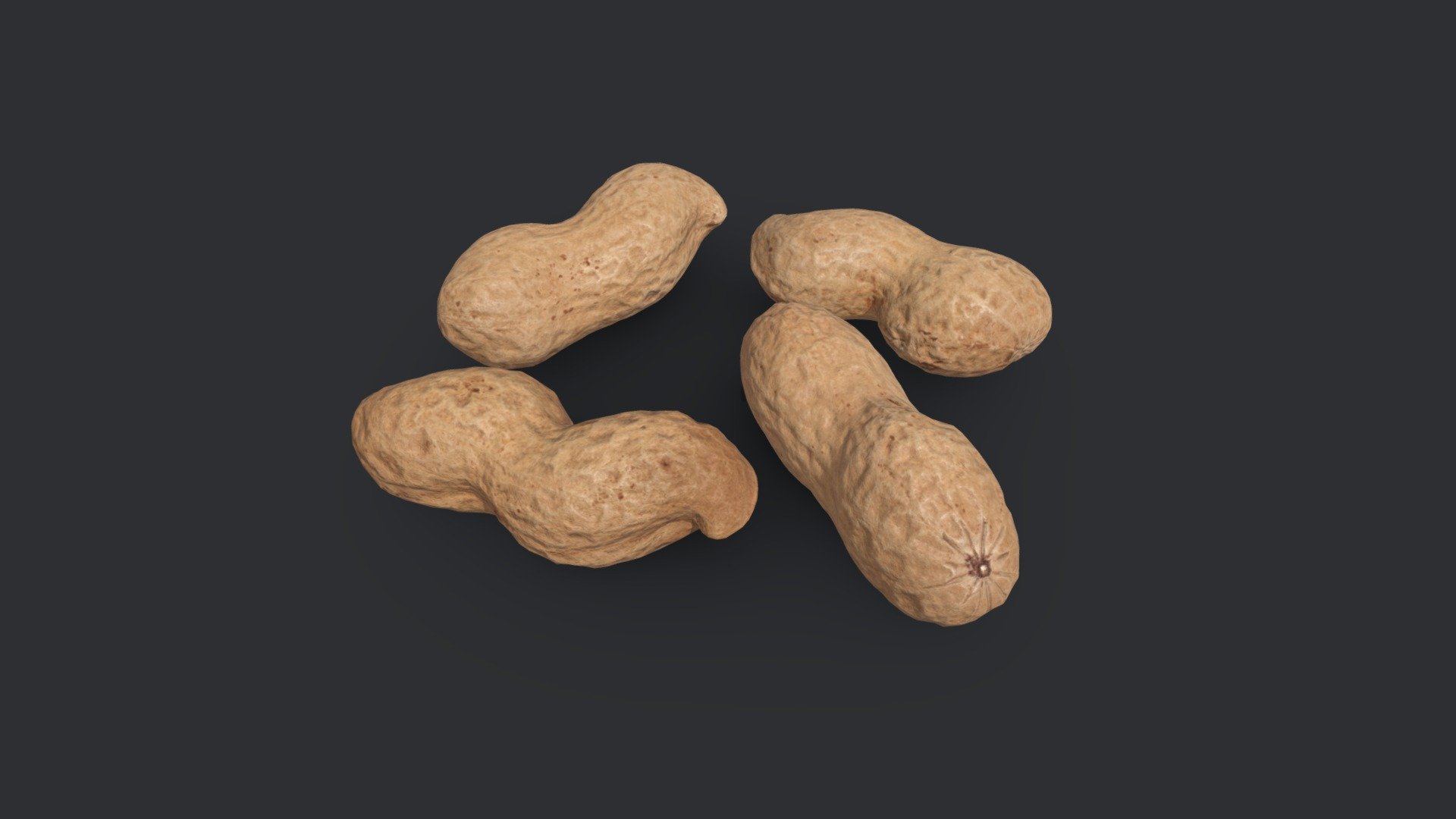 Photogrammetry models of four individual unshelled double pod peanuts.

Each model has three base levels of detail. Optimized into uniform triangles with clean UVs.

Peanut 1

Lod 1 - 28,544 tris, 

Lod 2 - 1,784 tris,

Lod 3 - 446 tris.

Peanut 2, 3 &amp; 4

Lod 1 - 31,232 tris,

Lod 2 - 1952 tris,

Lod 3 - 488 tris.

4K PNG textures (Albedo, Normal, Ambient Occulsion, Roughness and Gloss). All levels of detail share the same textures except for the Normal map, where each LOD has a unique Normal.

Lod 2 used for 3D preview with 1K JPG textures.

Real world scale 3d model