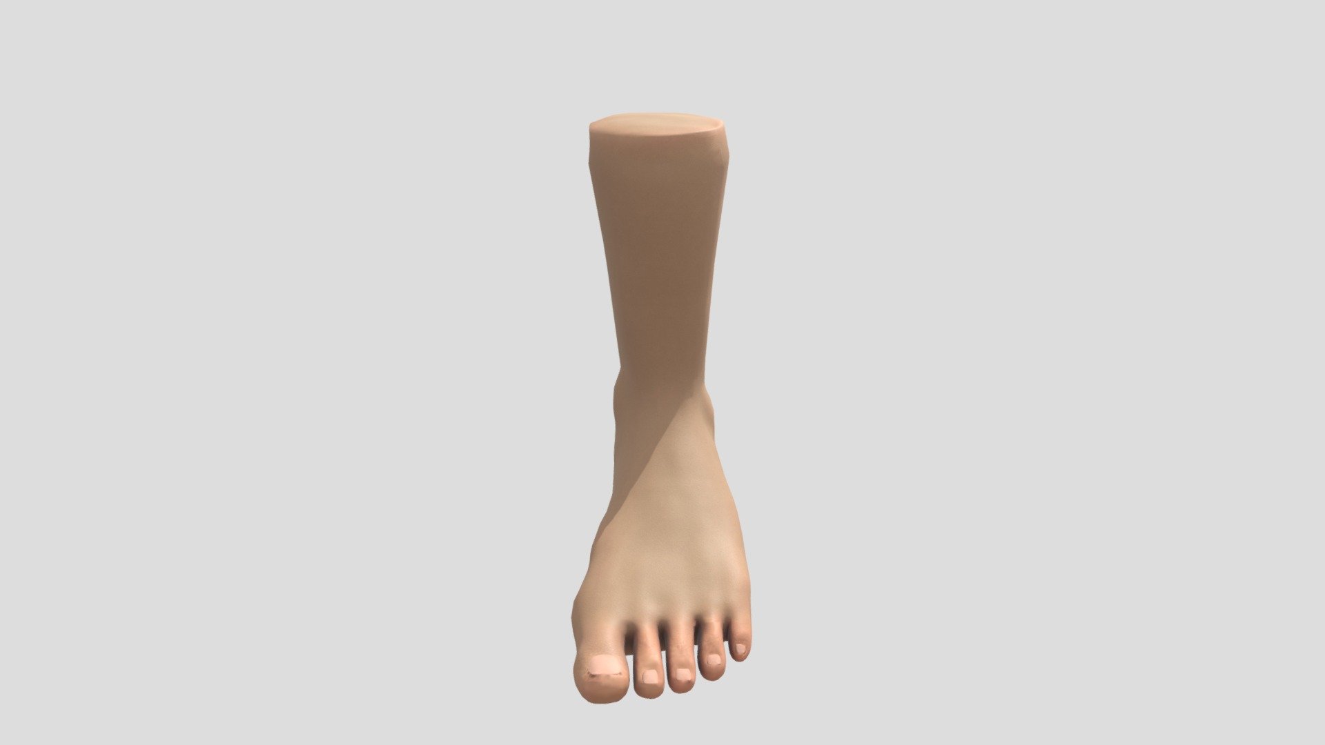 One of the 3 models I worked on as part of my 3D sculpting primer module. This is also my first attempt to sculpt, retopologise and texture a foot so it's very basic 3d model