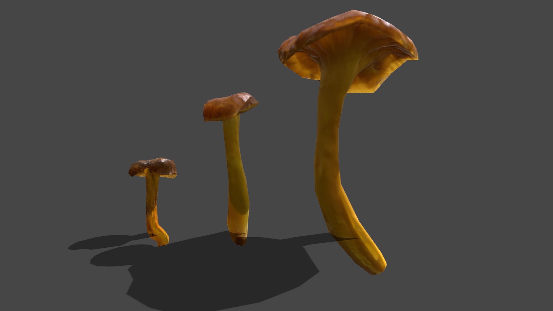 Mushroom number 27

Craterellus tubaeformis

Contains 3 differents lowpoly scans at different state of growth

2k sized texture (base color, roughness, normal map, translucent)

Quad topology (easily subdivided)



Contains the raw scans in the additional file (obj format)



Also available in this pack



Made with Metashape, Blender, Materialize and Subtance painter



If you have any questions, contact me.

 
 

 - Mushroom_27 - Buy Royalty Free 3D model by Zacxophone 3d model