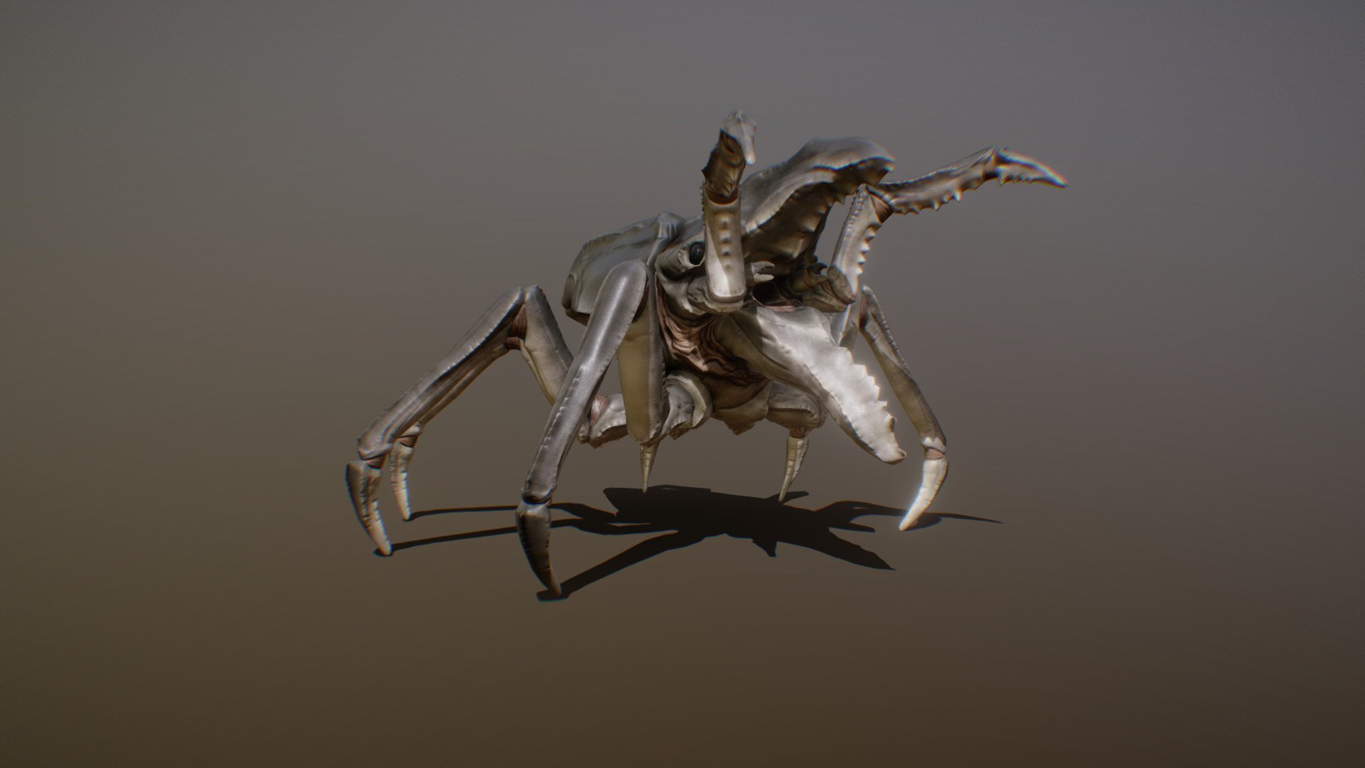 CARCINOPTERA ANIMATIONS - Buy Royalty Free 3D model by PROTOFACTOR, INC. (@protofactor) 3d model