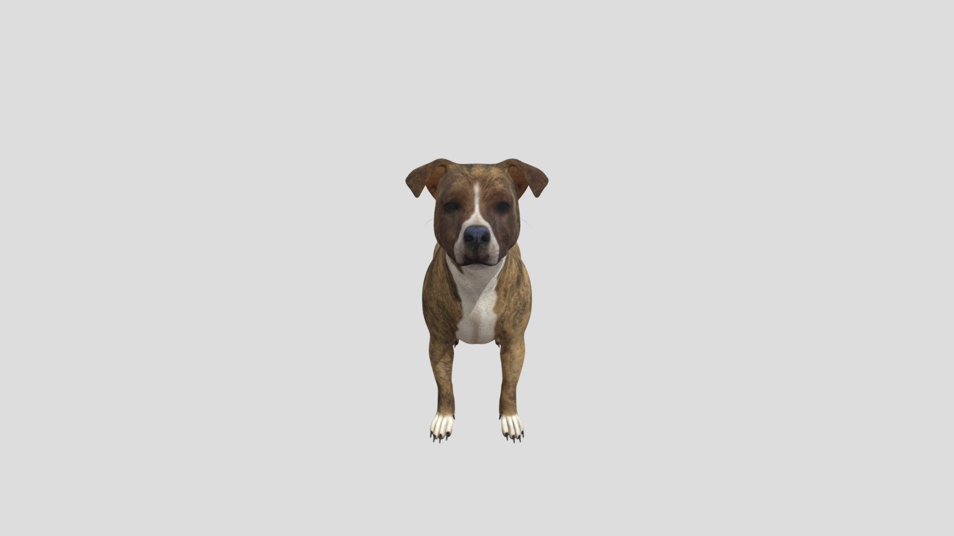 Terrier - Terrier - Download Free 3D model by InaweofGod 3d model