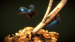 Scarabs insect, assets, gaming, pose, bug, textures, abi, pbr