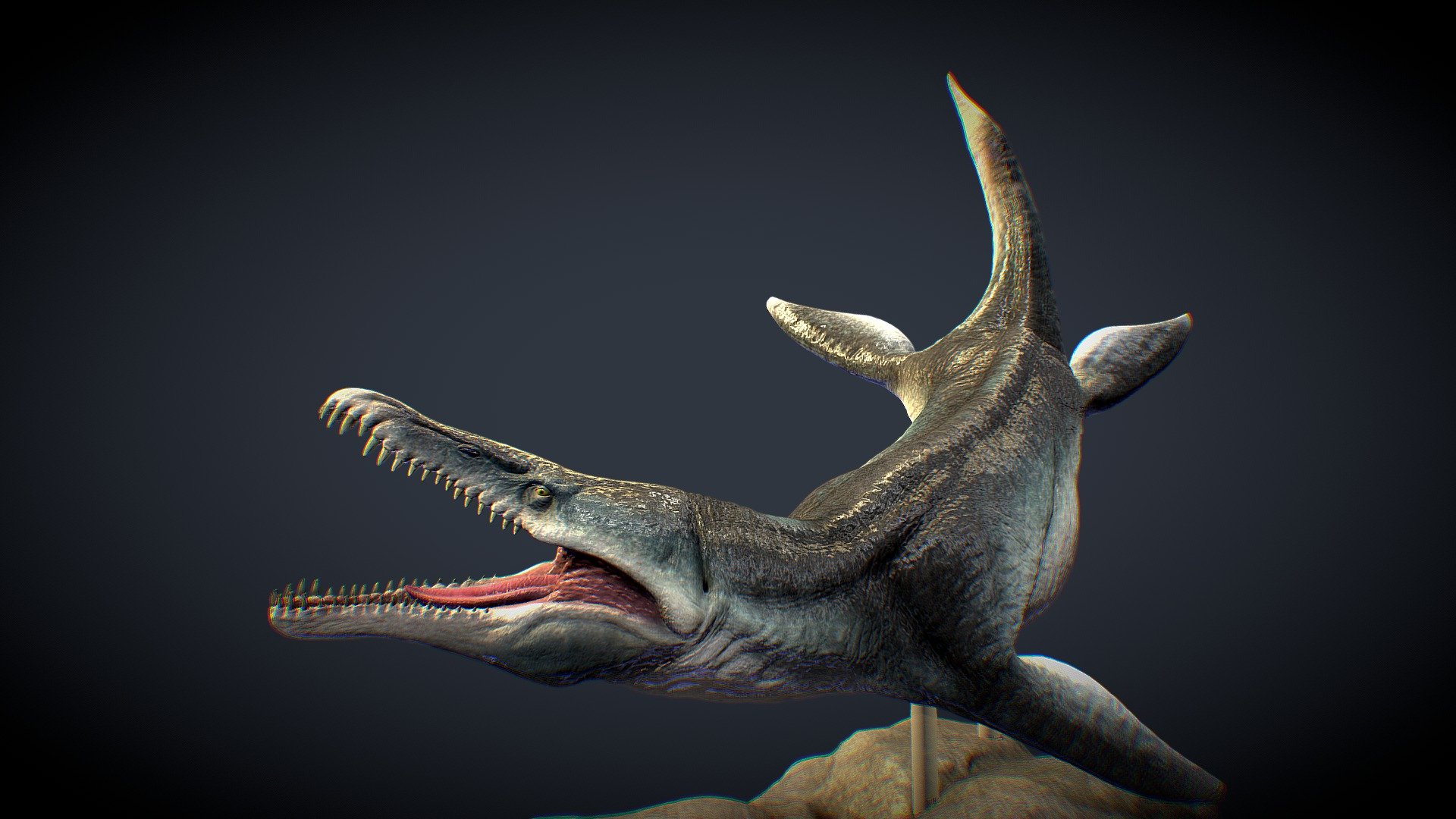 New prehistoric animal, kronosaurus!

Here I leave you some links so you can see how the exploded view and the render are:

https://www.deviantart.com/drrarts/art/Kronosaurus-render-911685987
https://www.deviantart.com/drrarts/art/Krono-despiece-911686063

What you see in sketchfab is of lower quality than what is really there due to the limits of polygons but I have added some separate files where the quality is much better.

If you are not convinced by the cuts or the breakdown, don't worry because it also includes a version without cuts or booleans with which you can modify them to your liking.

Please, if you like my work, I would appreciate a review and a score for my model, it would help me a lot to continue with my work and upload more models.

Finally, I accept suggestions if you would like to have a specific species 3d model