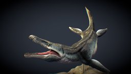 Kronosaurus (For print) marine, printing, predator, print, carnivore, pliosaurus, kronosaurus, acuatic, messozoic, 3d, art, prehistoric, dinosaur