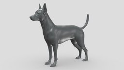 Zwergpinscher V3 3D print model stl, dog, pet, animals, figurine, 3dprinting, doge, 3dprint, dogstl, stldog
