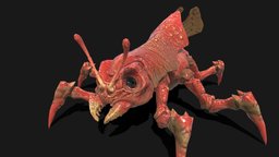 Land Bug6 insect, bug, beetle, pbr, lowpoly, gameready
